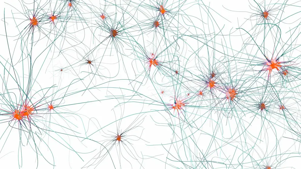 3d illustration of transmitting synapse,neuron or nerve cell