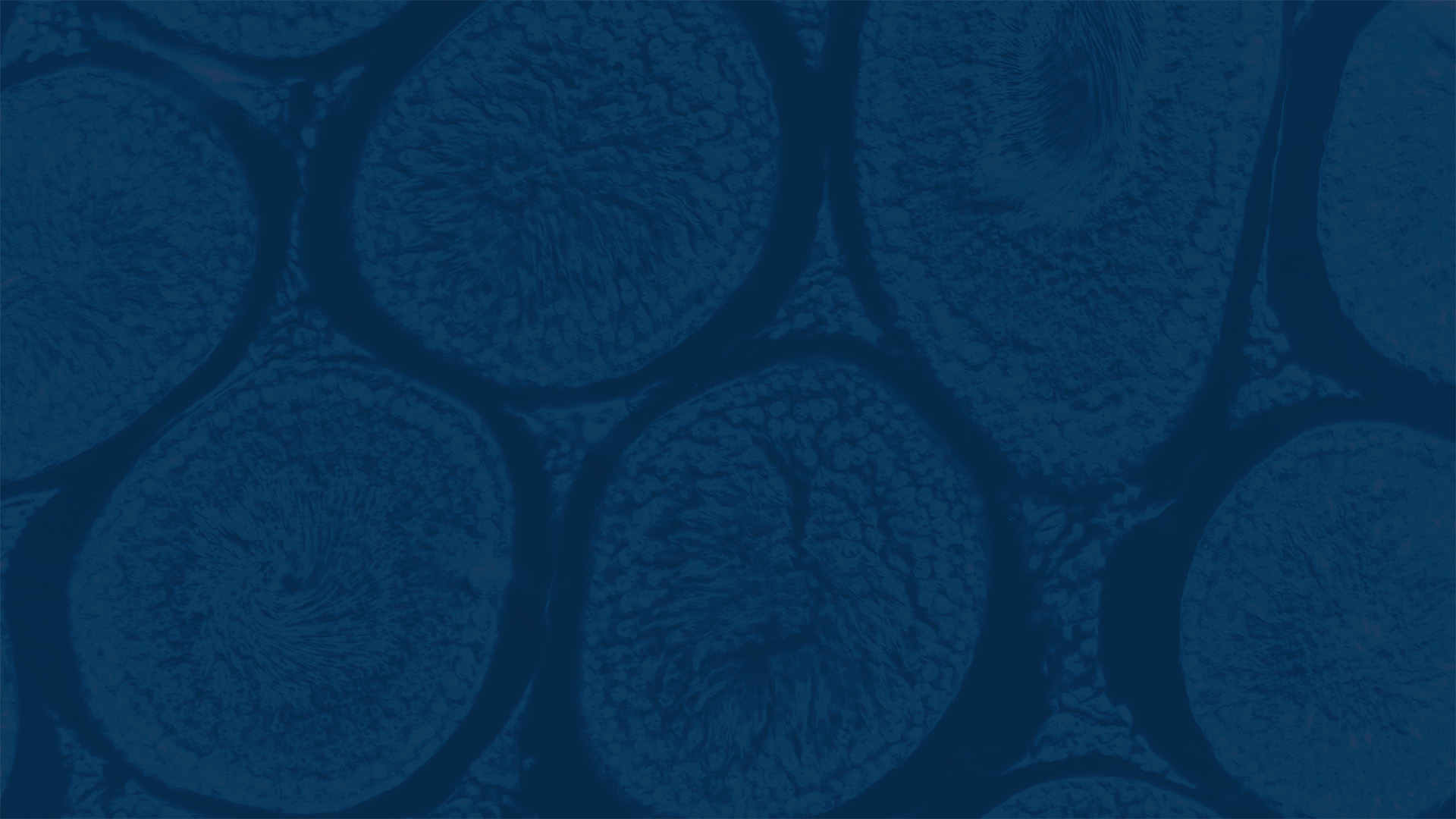 Latest industry news